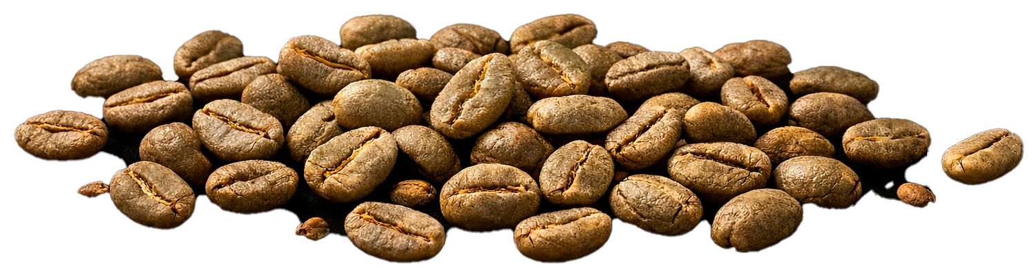 green coffee beans on black background before roasting