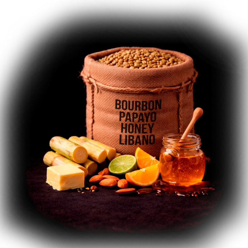 Bourbon Papayo Honey Libano